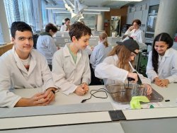 Die 4bwk im Vienna Open Lab