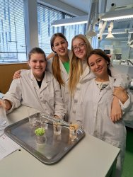 Die 4bwk im Vienna Open Lab