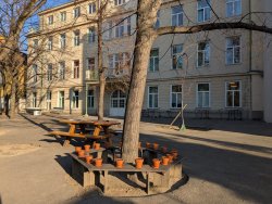 Aschermittwoch im Wäldchen