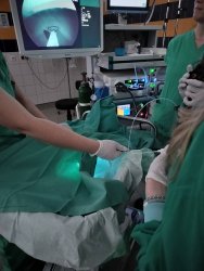 Ausflug in die chirurgische Ambulanz