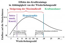 Analyse Krafttraining