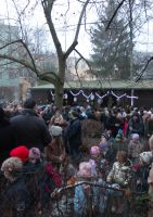 Advent in Maria Regina