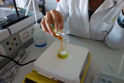 Wahlpflichtfach Chemie